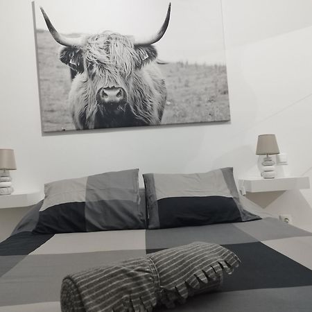 Apartamento Vista Casablanca Πουέρτο Ντε Λα Κρουζ Εξωτερικό φωτογραφία